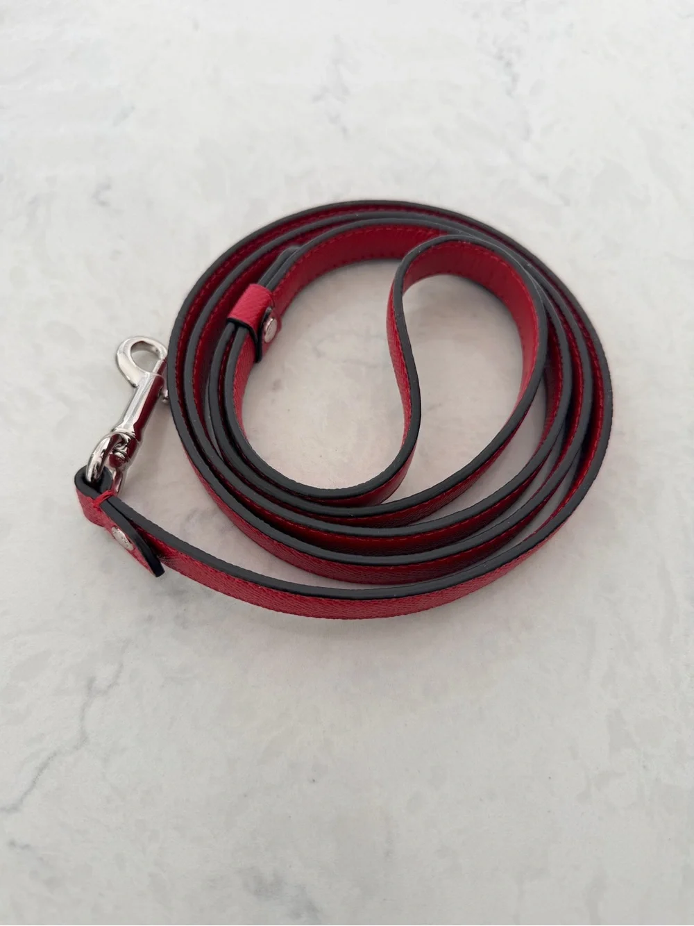 NEW Coach Red Leather Dog Leash